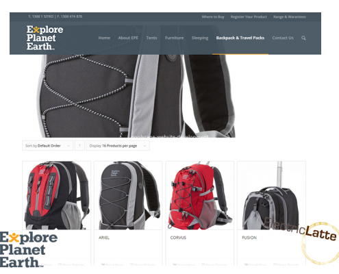 epe-website-development