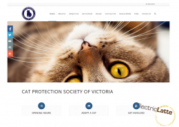 cat-protection-victoria