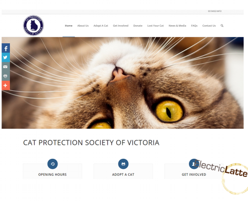 cat-protection-victoria