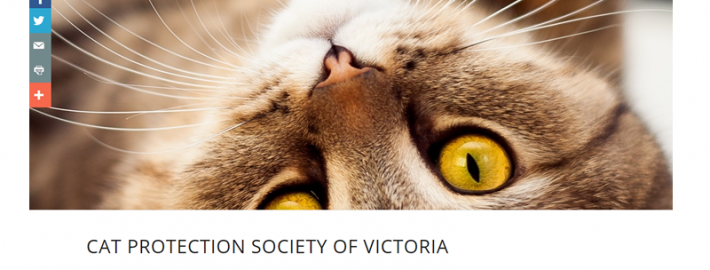 cat-protection-victoria