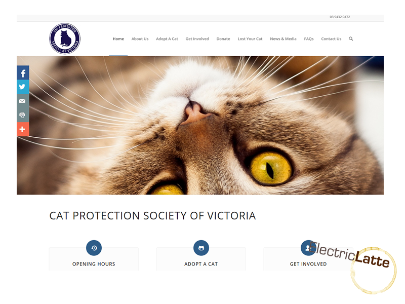 cat-protection-victoria