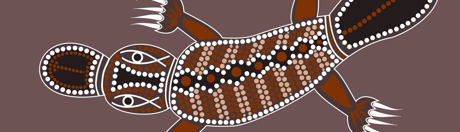 indigenous web design queensland